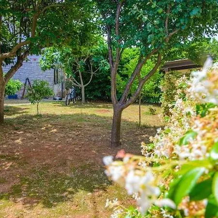 Vesna Tatil Evi